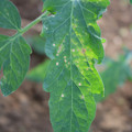 080003_20181025145502_04.JPG