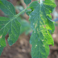 080003_20181025145504_03.JPG