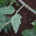080003_20181026153504_01.JPG