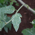 080003_20181026153504_02.JPG