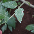 080003_20181026153506_04.JPG