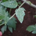 080003_20181026153506_05.JPG