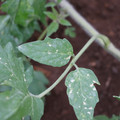 080003_20181026153510_05.JPG