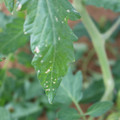 080003_20181107122614_03.JPG