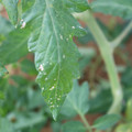 080003_20181107122614_05.JPG