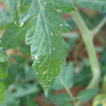 080003_20181107122615_01.JPG