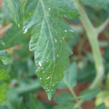 080003_20181107122615_04.JPG