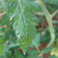 080003_20181107122616_03.JPG