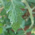 080003_20181107122616_04.JPG