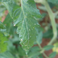 080003_20181107122620_01.JPG