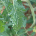 080003_20181107122621_01.JPG