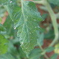 080003_20181107122621_02.JPG