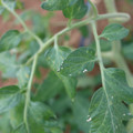 080003_20181107122626_04.JPG