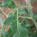 080003_20181107122628_01.JPG