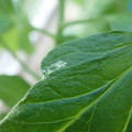 210002_20180206095929_01.JPG