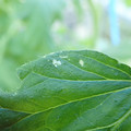 210002_20180206100039_01.JPG