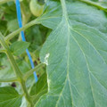 210002_20180206101004_01.JPG