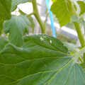 210002_20180206101043_01.JPG