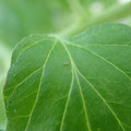210004_20180219151116_01.JPG