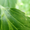 210004_20180306093848_01.JPG