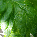210004_20180306095659_01.JPG