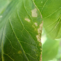210004_20180313111905_01.JPG