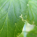 210004_20180313112030_01.JPG