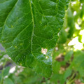 210004_20180313131744_01.JPG