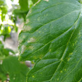 210004_20180313131831_01.JPG