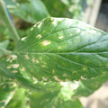 210004_20180403101649_01.JPG