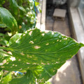210004_20180403101830_01.JPG