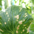 210004_20180410092256_01.JPG