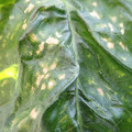 210004_20180410092524_01.JPG