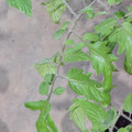 039901_20180116080436_01.JPG