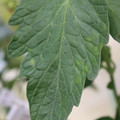 085001_20180605103803_04.JPG