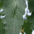 085001_20180605103844_02.JPG