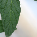 085001_20180605103941_03.JPG