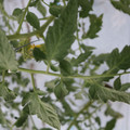 085004_20180601120546_03.JPG