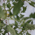 085004_20180601120547_02.JPG
