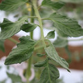 085004_20180601120645_02.JPG