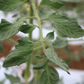 085004_20180601120645_03.JPG