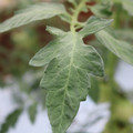 085004_20180611145456_05.JPG