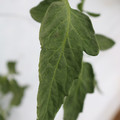 085004_20180611145617_02.JPG