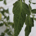 085004_20180611145619_05.JPG