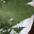 085004_20180611150328_01.JPG