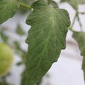 085004_20180611150551_01.JPG