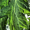 159904_20171005091327_01.JPG