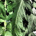 159904_20171005091743_01.JPG