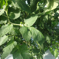 159904_20171024142250_01.JPG