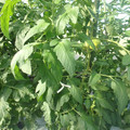 159904_20171024142317_01.JPG